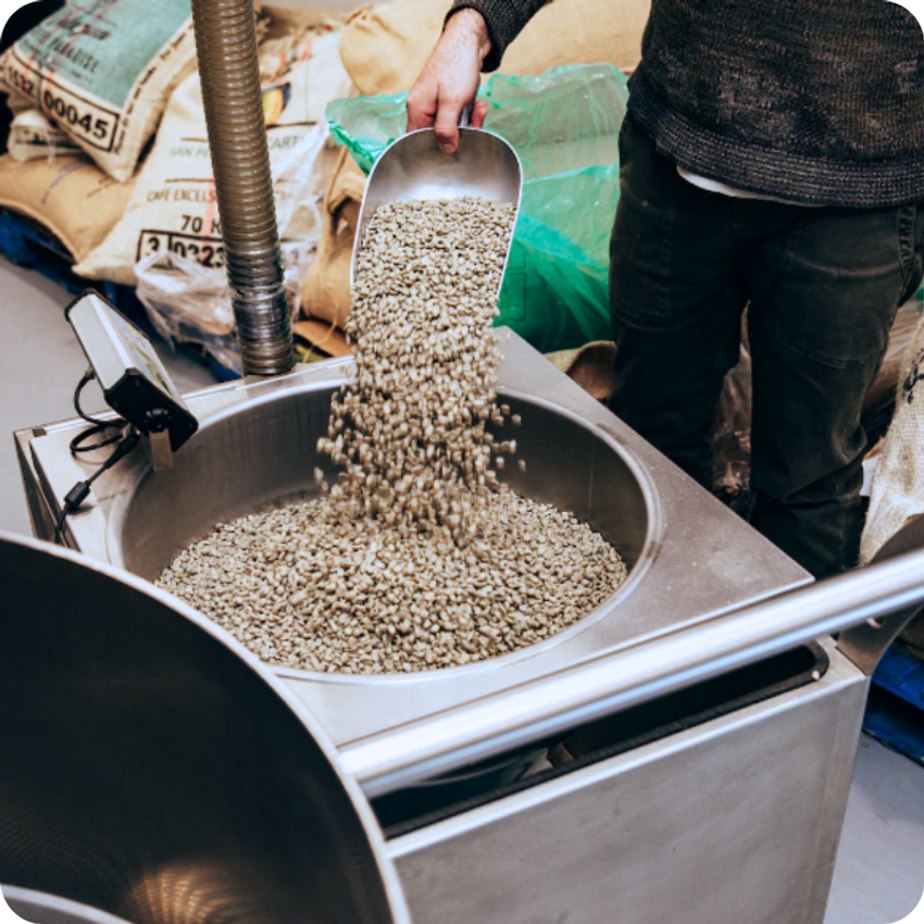 canyon-coffee-bean-processing